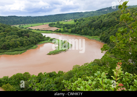A sharp bend in the River Wye at high water viewed from Wintours Leap in the Forest of Dean, Gloucestershire, UK Stock Photo