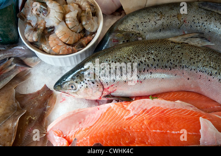 fishmonger wet fish display counter Stock Photo