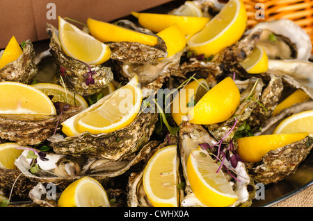 Oysters and lemon segments Stock Photo