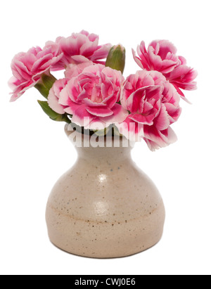 Pink carnations in a small container Stock Photo