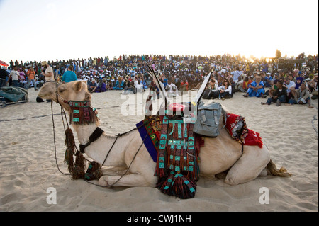 Decorated camel in front of the main stage, 'Festival au Desert'; Sahara desert, near Timbuktu, Mali Stock Photo