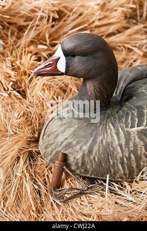 goose decoy with stuffed and some calls Stock Photo