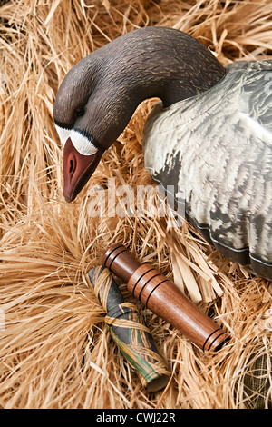 goose decoy with stuffed and some calls Stock Photo