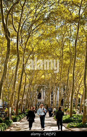 Promenade in Bryant Park, London plane trees, platanus acerifolia, in autumn, midtown Manhattan, New York City Stock Photo