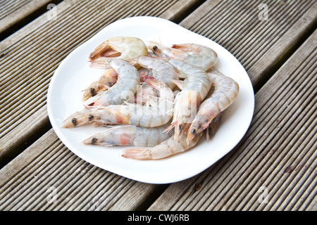 Uncooked tiger prawns on a white plate. Stock Photo