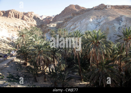 Mountain oasis Chebika at border of Sahara, Tunisia Stock Photo