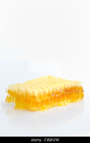 Honeycomb isolated on white background Stock Photo