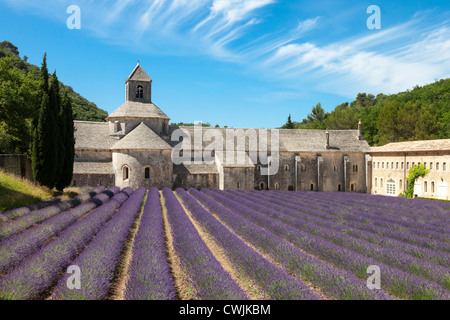 Abbaye de Senanque with purple lavender field Provence France Stock Photo