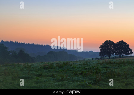 Two oak trees in a field silhouetted against the sky st sunrise with mist filling the valley behind. Stock Photo