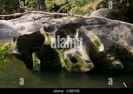 Spectacular washed-out rocks lay in the Pororai River Gorge in Paparoa National Park at New Zealand's West Coast. Stock Photo