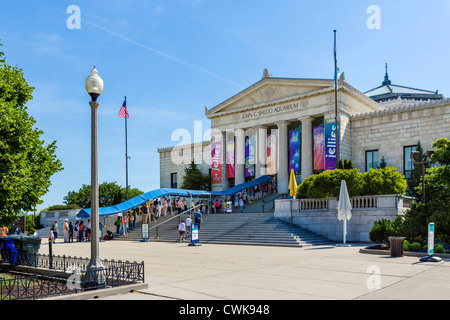 The John G Shedd Aquarium on the Museum Campus in Grant Park, Chicago, Illinois, USA Stock Photo