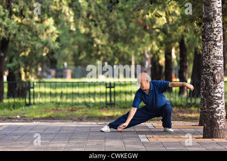 An elderly Chinese man practices tai chi martial arts exercise early morning at the Temple of Heaven Park during summer in Beiji Stock Photo