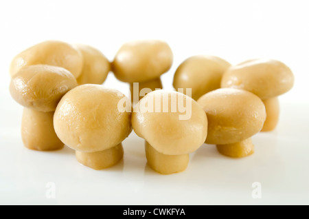Group of edible mushrooms shot on white background Stock Photo