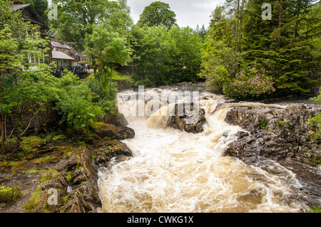 BETWS-Y-COED, Wales — The Afon Llugwy (River Llugwy) surges through the village of Betws-y-Coed in Snowdonia National Park, North Wales, United Kingdom. Swollen by heavy rainfall, the river's rapids demonstrate the raw power of nature, creating a dramatic scene in this popular hiking base nestled in the heart of Snowdonia. Stock Photo