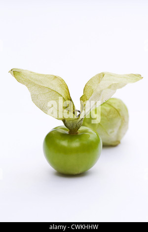 Physalis philadelphica. Two tomatilloes on a white background. Stock Photo