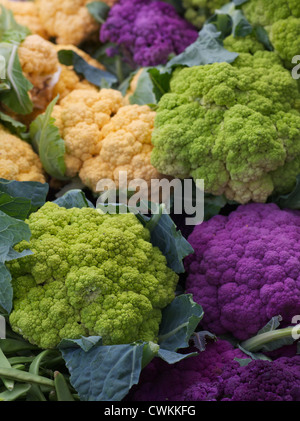 Pile of Purple Green Orange Cauliflower at the farmers market Stock Photo