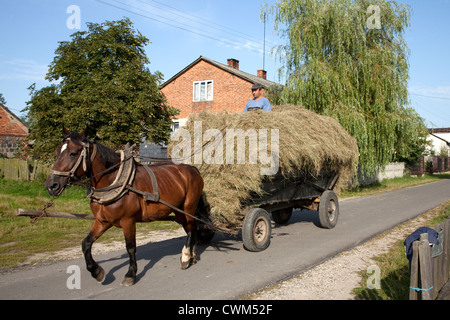 Horse pulling man on top of load of hay along village street. Mala Wola Central Poland Stock Photo