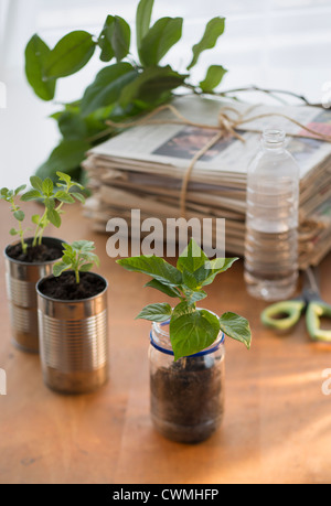 Stack of old newspapers and seedlings in jar and cans Stock Photo