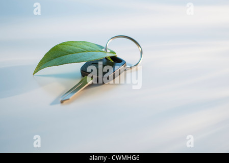 Studio shot of car key with ring and green leaf Stock Photo