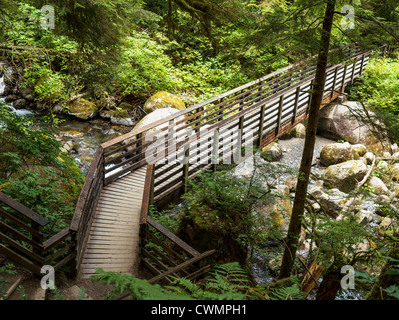 wooden bridge crossing over small stream into deep woods Stock Photo