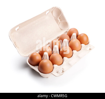 brown eggs in a carton package isolated on white background Stock Photo