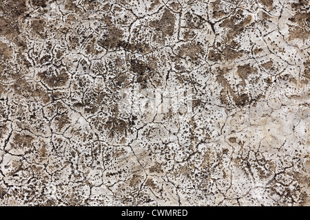 old and cracked concrete wall background Stock Photo