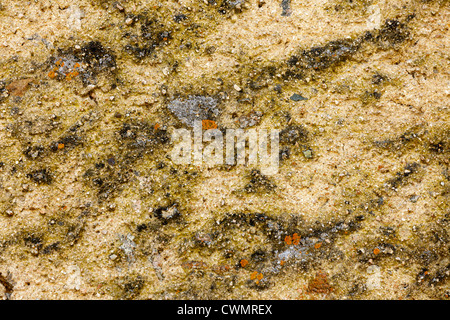 damaged concrete wall grungy background Stock Photo