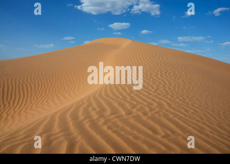 Sahara desert sand dune with cloudy blue sky at Erg Lihoudi, M'hamid, Morocco Stock Photo