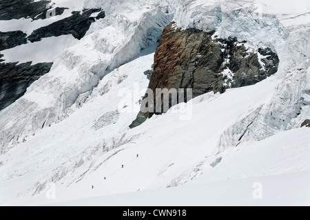 Alpine climbers traveling on a glacier in the Swiss alps Stock Photo