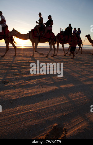 Groups of tourists on a sunset camel trek, Cable beach, Broome, Western Australia Stock Photo