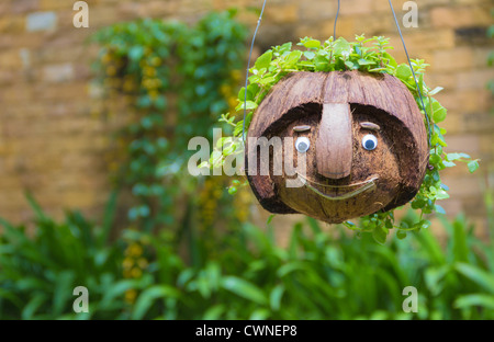 Smiling face coconut  grown up by green vines with a leafy hairstyle. Stock Photo