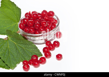 Red currants in a bowl with leaves isolated on white background Stock Photo