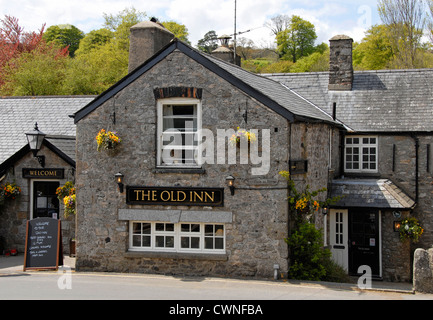 The Old Inn, Widecombe in the Moor, Dartmoor, Devon, England Stock Photo