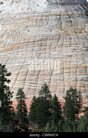 Navajo cliffs markings striation Checkerboard Mesa Zion National Park Utah Stock Photo