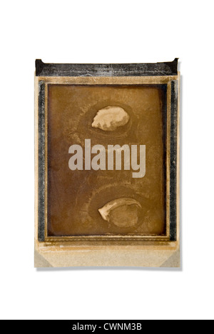 Aged Polaroid photograph, isolated on 100% white background Stock Photo