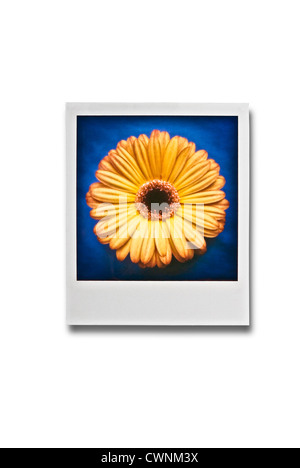Polaroid photograph, taken with a Polaroid SX-70 Land Camera, isolated on 100% white background Stock Photo