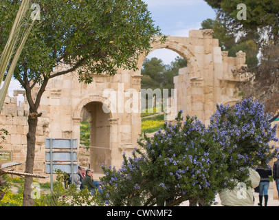 Rosemary bush in front of the south gate of the ruins of the roman city of Gerasa in todays Jerash in Jordan Stock Photo
