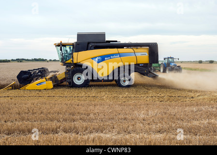 New Holland CX8060 Combine Harvester Operating In Wheat Field Stock ...