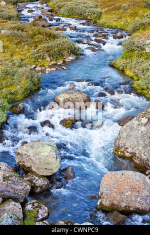 Small mountain river in Norway. Stock Photo