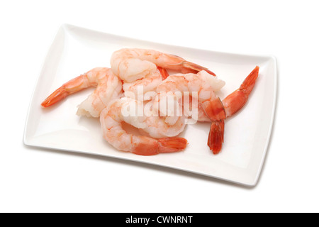 Shrimp, Prawns Stock Photo