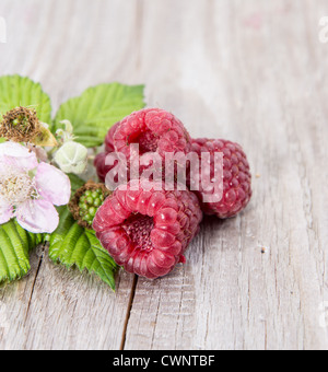 Three Raspberries with leaves on wooden background Stock Photo
