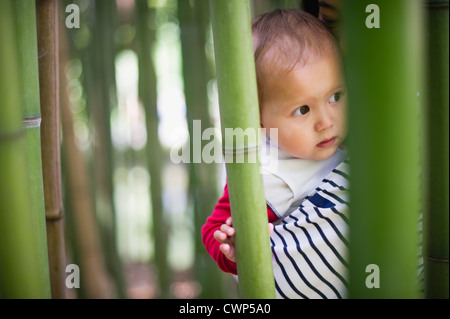 Baby girl in bamboo grove Stock Photo