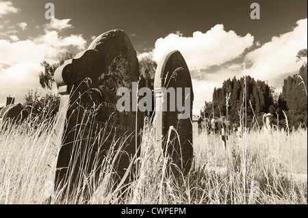 hidden graveyard left to play out natural wildlife colonization for a new habitat and so reduce maintenance costs of parish Stock Photo