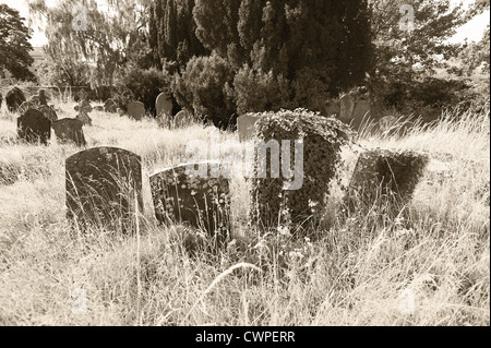 hidden graveyard left to play out natural wildlife colonization for a new habitat and so reduce maintenance costs of parish Stock Photo