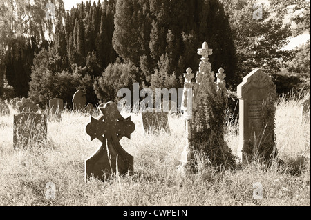 hidden graveyard left to play out natural wildlife colonization for a new habitat and so reduce maintenance costs of parish Stock Photo