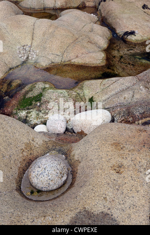 Pebbles at Progo, near Gribba point, Cape-Cornwall Cornwall England UK GB Stock Photo