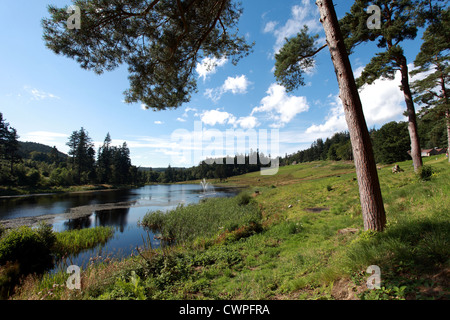 View of the grounds and lake in Cragside, Northumberland Stock Photo