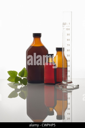 Melissa officinalis, Lemon balm Stock Photo