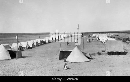 Turkish Red Crescent in Palestine during World War I Stock Photo