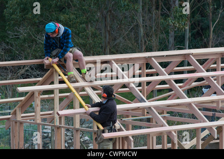 A builder working with an apprentice on the roof joists of a building Stock Photo